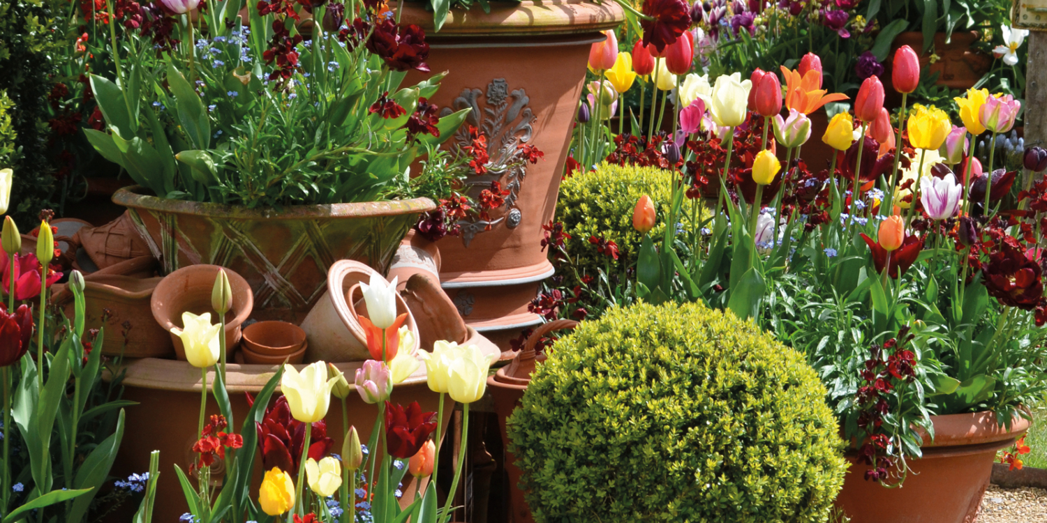 Special Offers Whichford Pottery